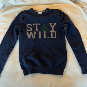 Stay Wild Graphic Sweater Cozy Cabin Core Outdoorsy Vintage Feel Unisex